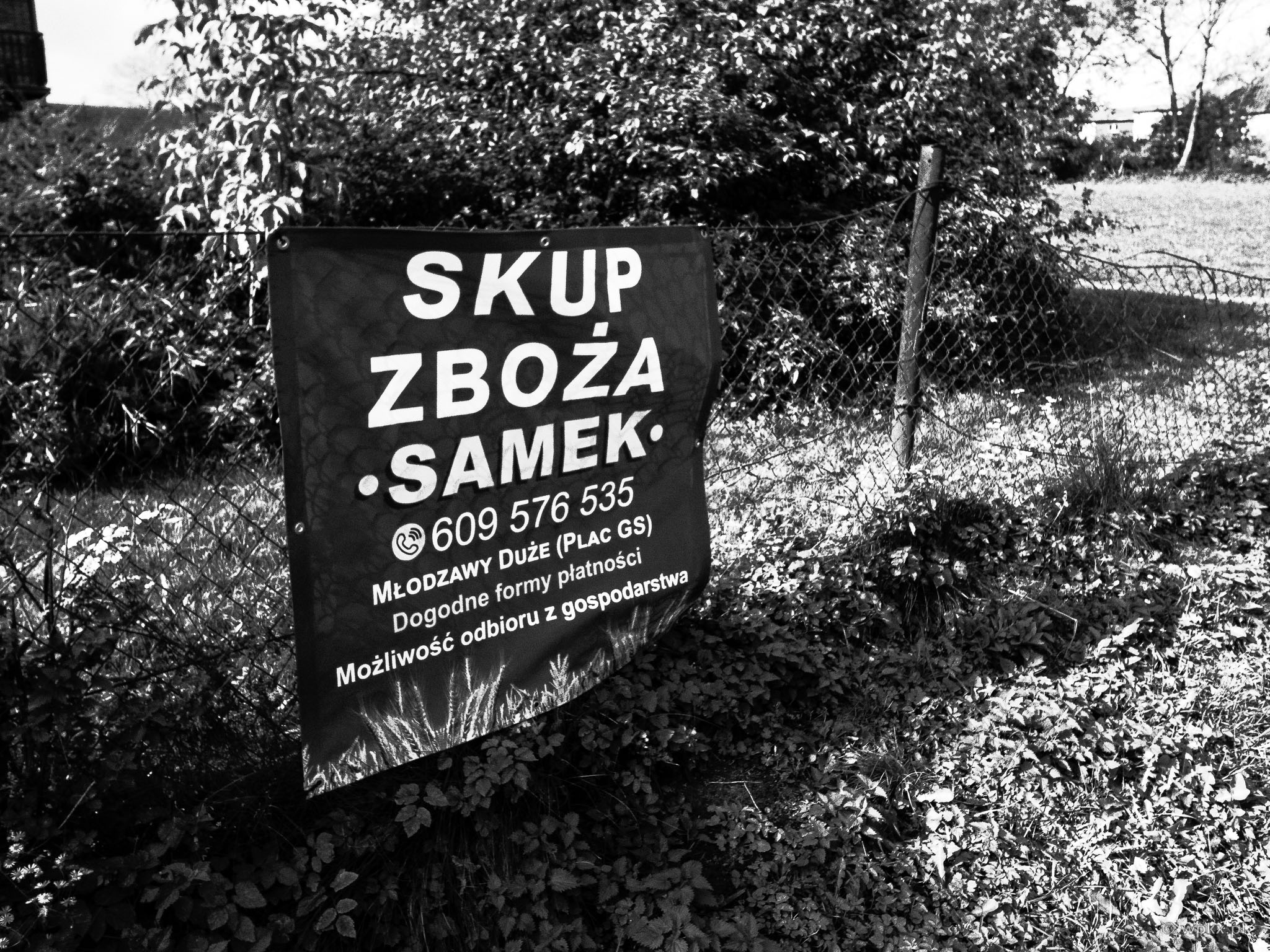 Obrazek